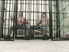 Horny dudes suck cock and fuck tight ass in jail