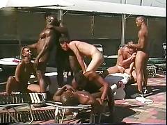 poolside sex party