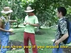 cafe de colombia