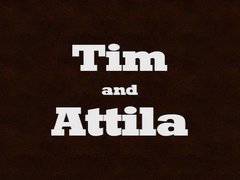 Tim - Attila XXL