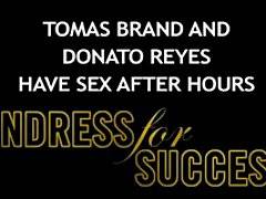 Gentlemen 7  Undress For Success (2013)