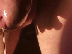 Beautiful Cock