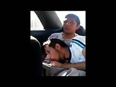 Suck Dick In Car